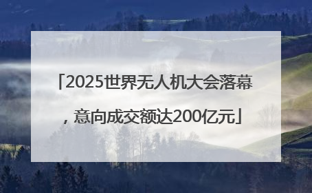 2025世界无人机大会落幕，意向成交额达200亿元